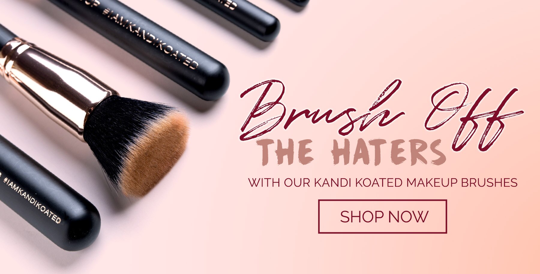 Brush off the haters - Shop Now